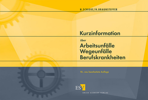 Kurzinformation über Arbeitsunfälle Wegeunfälle Berufskrankheiten - Heike Braunsteffer