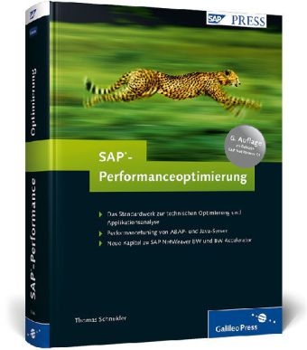 SAP-Performanceoptimierung - Thomas Schneider