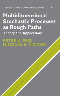 Multidimensional Stochastic Processes as Rough Paths - Peter K. Friz, Nicolas B. Victoir