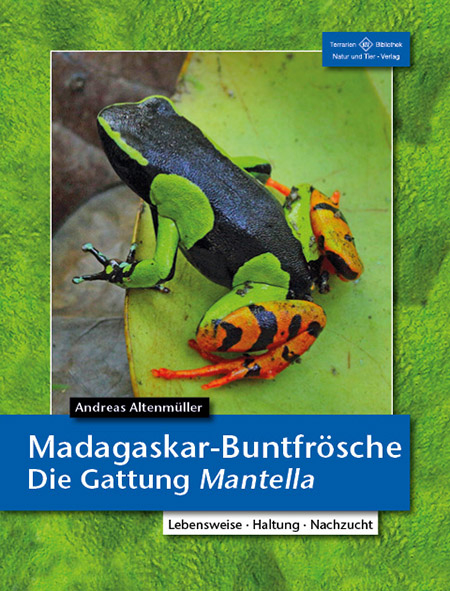 Madagaskar-Buntfrösche - Andreas Altenmüller