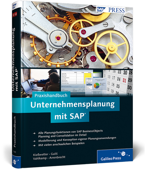 Praxishandbuch Unternehmensplanung mit SAP - Martin Kießwetter, Goran Guliš, Dirk Vahlkamp, Alex Arrenbrecht