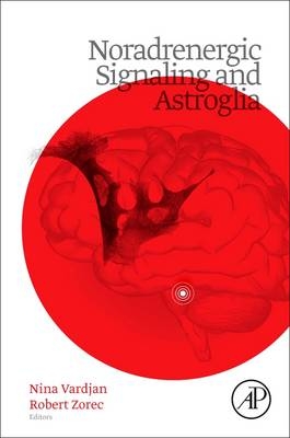 Noradrenergic Signaling and Astroglia - 