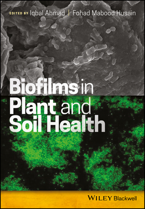 Biofilms in Plant and Soil Health - 