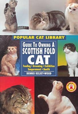 Guide to Owning a Scottish Fold Cat - Dennis Kelsey-Wood