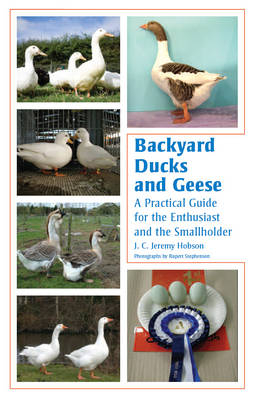 Backyard Ducks and Geese - J C Jeremy Hobson