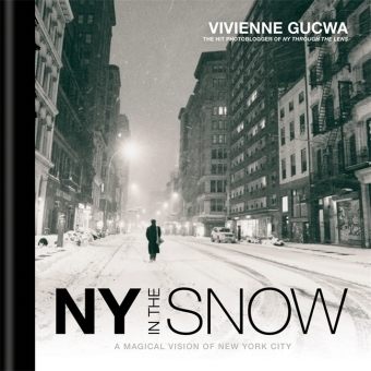 New York In The Snow -  Vivienne Gucwa