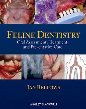 Feline Dentistry - Jan Bellows