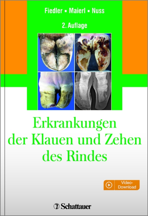 Erkrankungen der Klauen und Zehen des Rindes - Andrea Fiedler