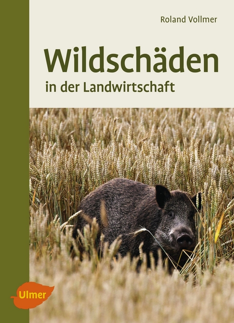 Wildschäden - Roland Vollmer