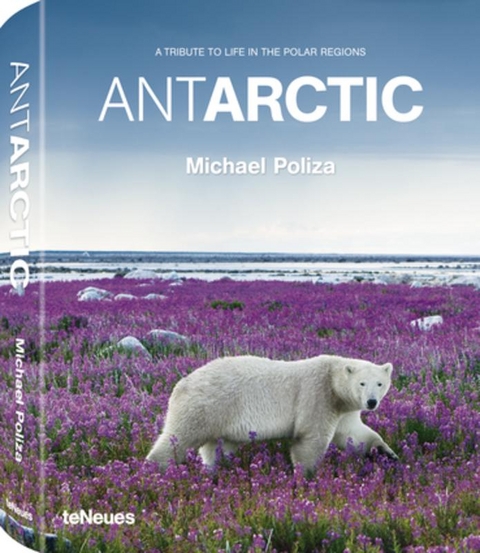 ANTARCTIC - Michael Poliza