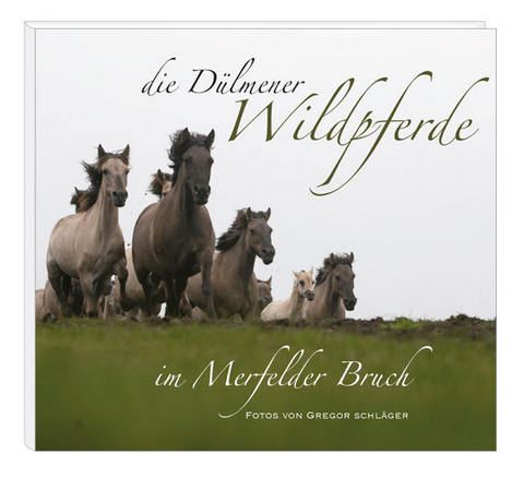 Die Dülmener Wildpferde im Merfelder Bruch - Jörg Gierse