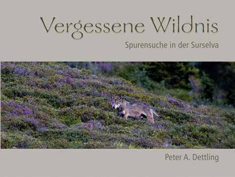 Vergessene Wildnis - Peter Dettling