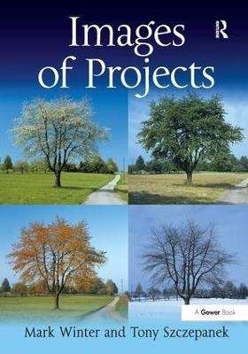 Images of Projects - Mark Winter, Tony Szczepanek