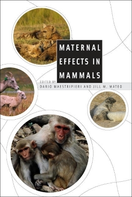 Maternal Effects in Mammals - 