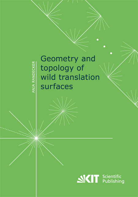 Geometry and topology of wild translation surfaces - Anja Randecker