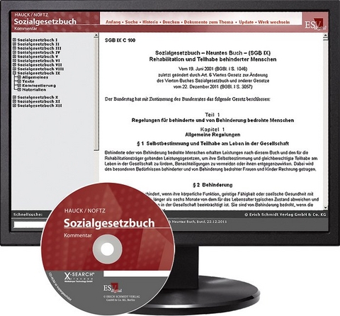 Sozialgesetzbuch (SGB) IX: Rehabilitation und Teilhabe behinderter Menschen - Abonnement - Bernd Götze, Stephan Gutzler, Peter Masuch, Tobias Mushoff, Dagmar Oppermann, Egbert Schneider, Christian Stotz, Bettina Süsskind