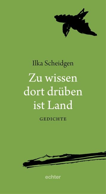 Zu wissen dort drüben ist Land - Ilka Scheidgen