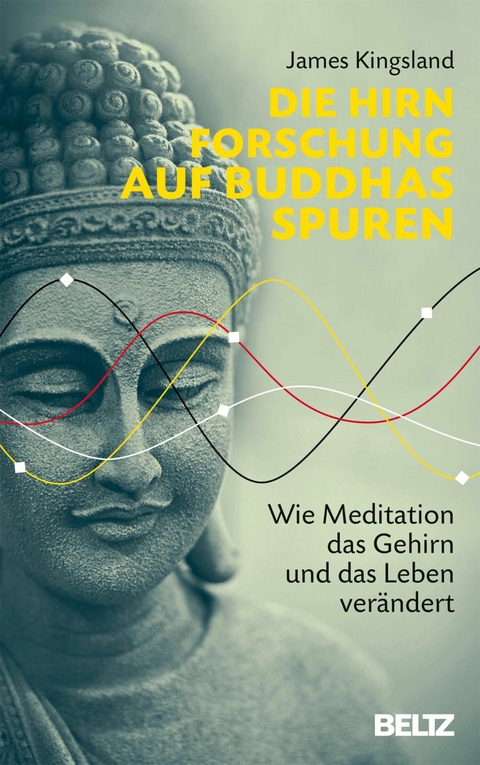 Die Hirnforschung auf Buddhas Spuren -  James Kingsland