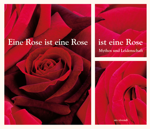 Eine Rose ist eine Rose ist eine Rose