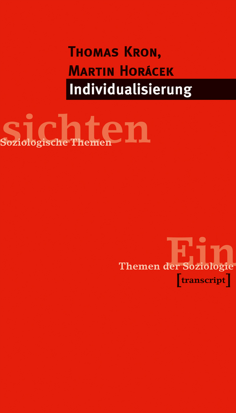 Individualisierung - Thomas Kron, Martin Horácek