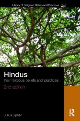 Hindus - Julius Lipner