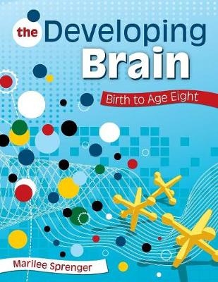 Developing Brain - 