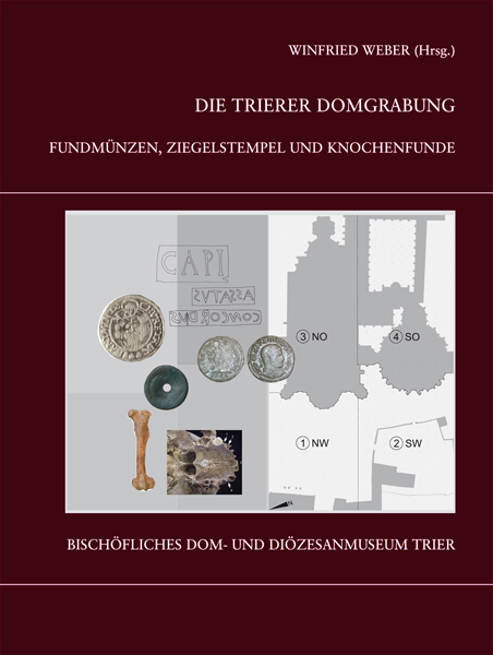 Die Trierer Domgrabung - 