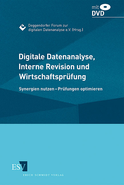 Digitale Datenanalyse, Interne Revision und Wirtschaftsprüfung