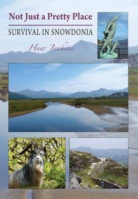 Not Just a Pretty Place - Survival in Snowdonia - Huw Jenkins