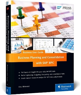 Business Planning and Consolidation with SAP: Business User Guide - Onur Bekmezci