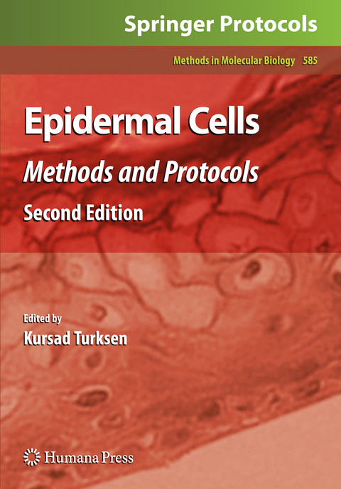 Epidermal Cells - 