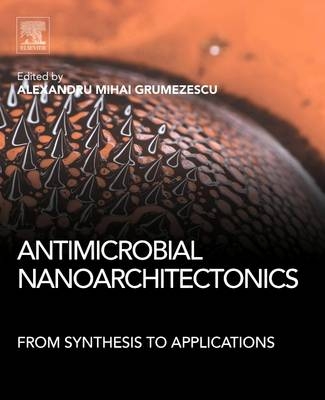 Antimicrobial Nanoarchitectonics - 