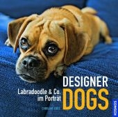 Designer Dogs