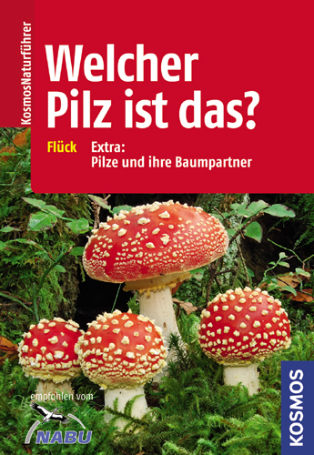 Welcher Pilz ist das? - Markus Flück