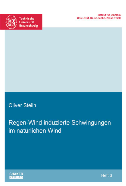 Regen-Wind induzierte Schwingungen im natürlichen Wind - Oliver Steiln