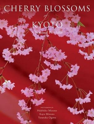 Cherry Blossoms Of Kyoto: A Seasonal Portfolio