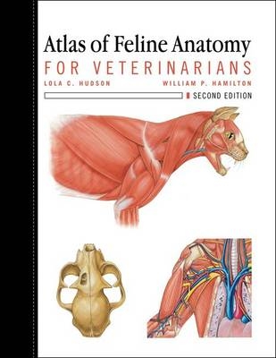 Atlas of Feline Anatomy For Veterinarians -  William Hamilton,  Lola Hudson