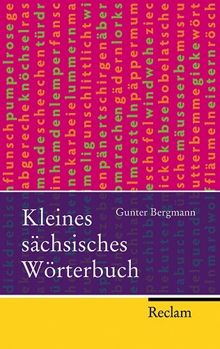 Kleines sächsisches Wörterbuch - Gunter Bergmann