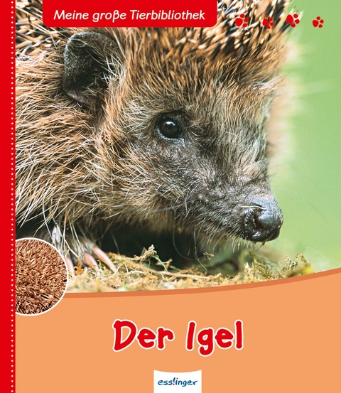 Meine große Tierbibliothek: Der Igel - Valérie Tracqui