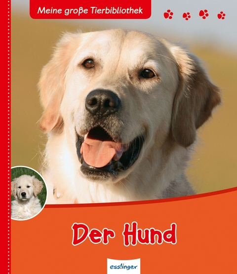 Meine große Tierbibliothek: Der Hund - Valérie Tracqui