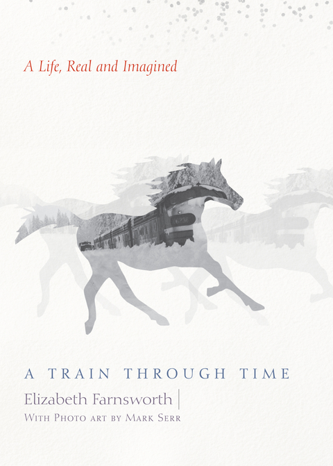 Train through Time -  Elizabeth Farnsworth