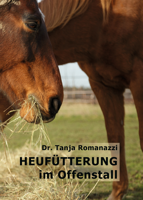 Heufütterung im Offenstall - Dr. Tanja Romanazzi