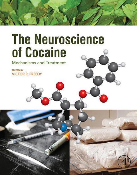 Neuroscience of Cocaine - 