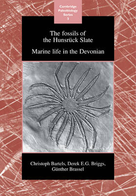 The Fossils of the Hunsrück Slate - Christoph Bartels, Derek E. G. Briggs, G Brassel