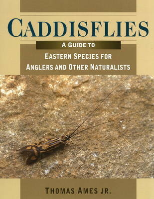 Caddisflies - Thomas Ames  Jr.