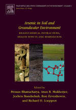 Arsenic in Soil and Groundwater Environment - 