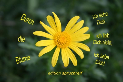 Durch die Blume - Marlen Ch Kühnel