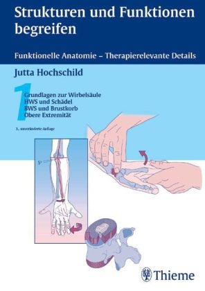 Strukturen und Funktionen begreifen. Funktionelle Anatomie - Therapierelevante Details / 1: Grundlagen zur Wirbelsäule, HWS und Schädel, BWS und Brustkorb, Obere Extrem - Jutta Hochschild