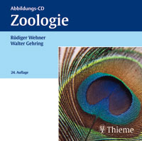 Zoologie - Rüdiger Wehner, Walter J Gehring