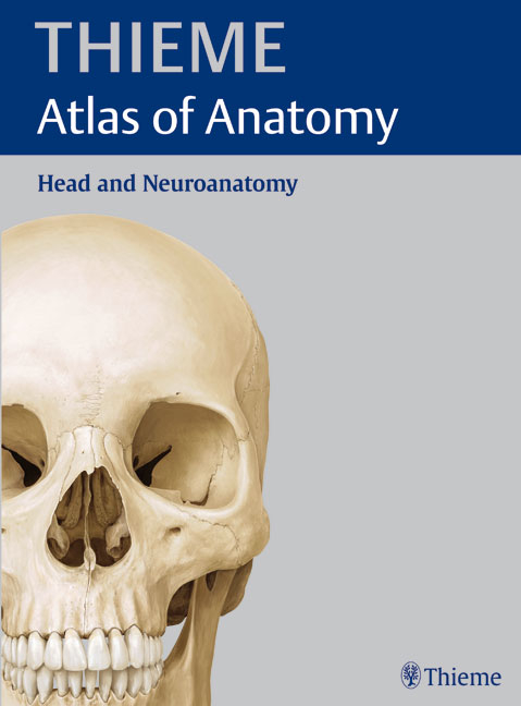 Head and Neuroanatomy